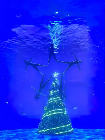 上海海昌海洋公園超全攻略看這篇就夠了～