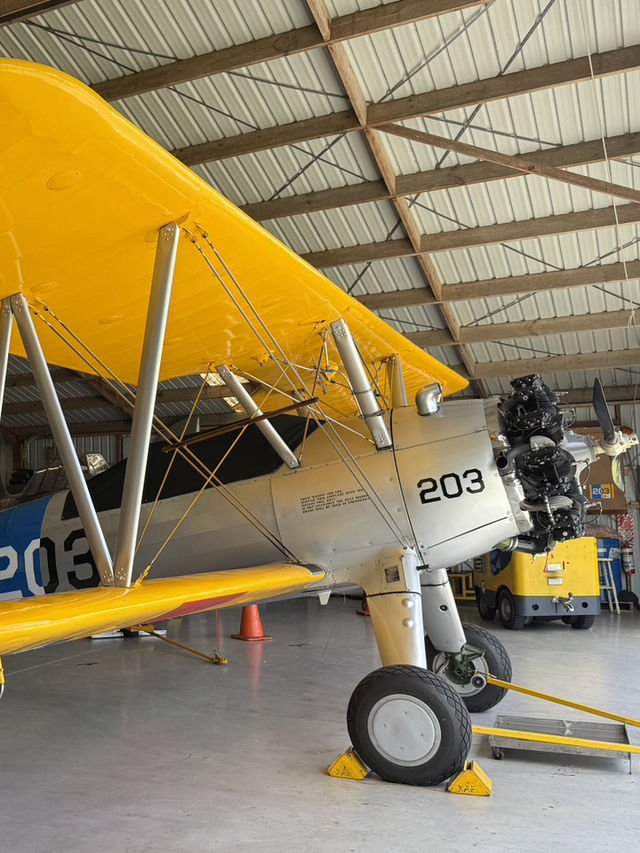 A Fascinating Glimpse Into The Golden Age Of Air Travel ✈️ 
