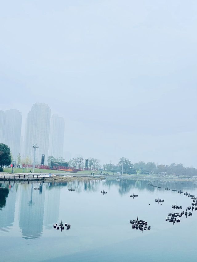 梅溪湖公園｜親子出遊必打卡的寶藏地