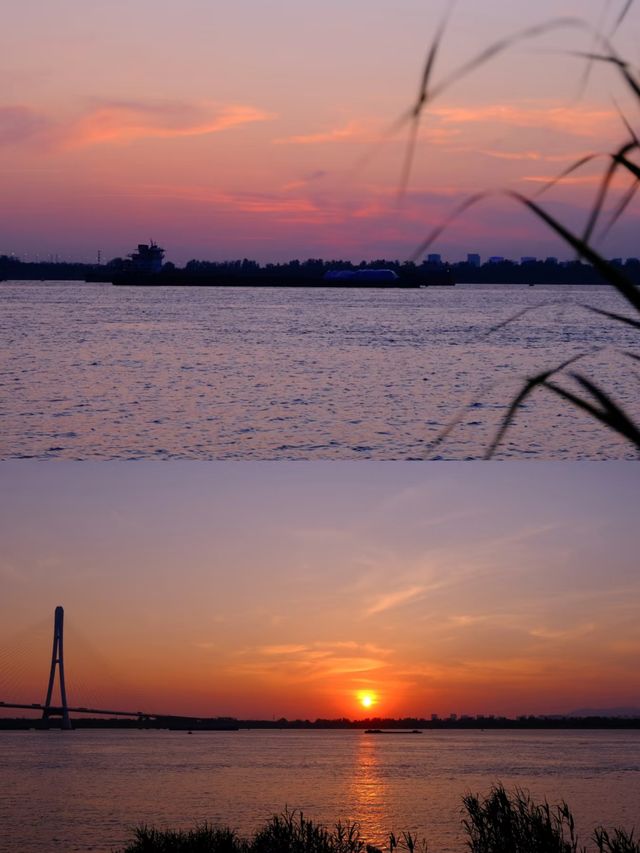 南京小眾打卡景點「魚嘴濕地公園」