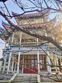 南山公園，殘雪消融，北國的春天已經來臨