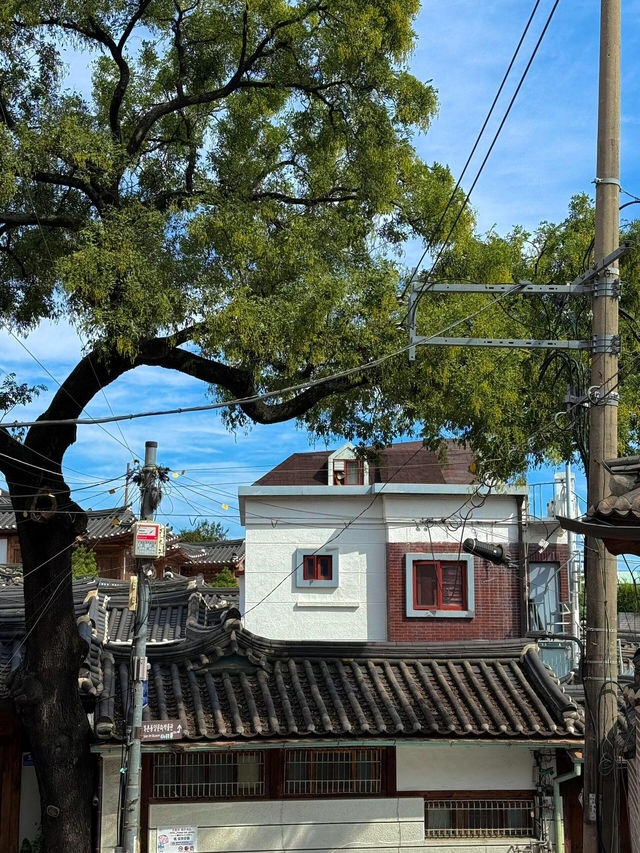 首爾Citywalk必去兩地，一天超充實行程指南🗺️