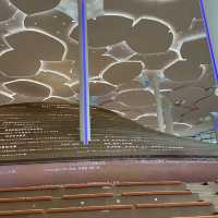 Beijing library