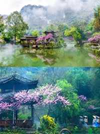三生三世，不如酉陽桃花源的一日！