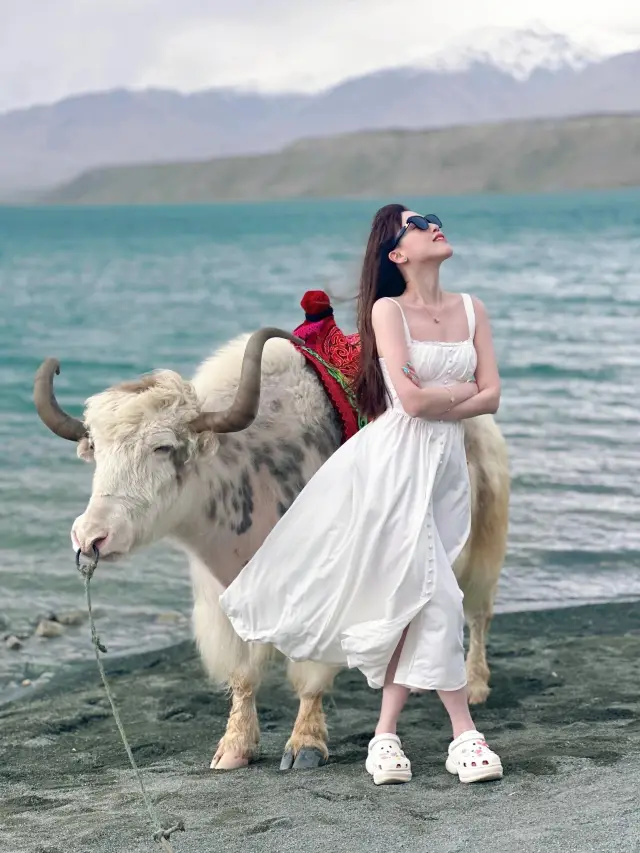 白沙湖へ行く前に必見！90%の新人が知らない5つの致命的な落とし穴