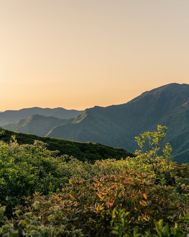韓國·光陽市 | 智異山國立公園——韓國三大名山之一