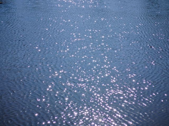 3月 北京溫榆河公園 攻略