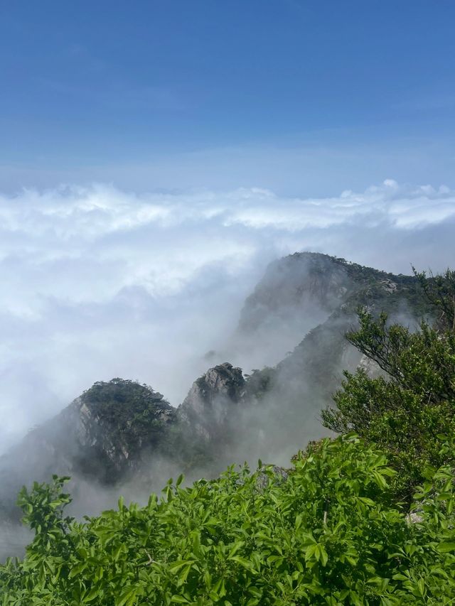小長假九江3日遊 超詳細攻略來襲