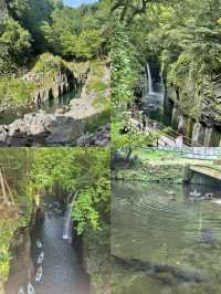 前往宮崎，展開一趟山海之旅