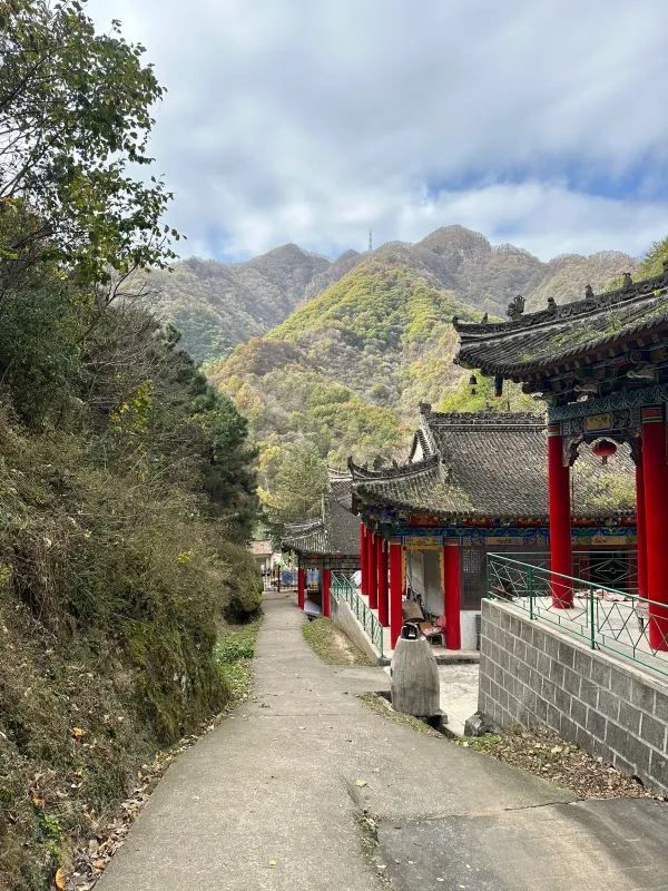 探索丛林深處的神秘“七層妖塔”