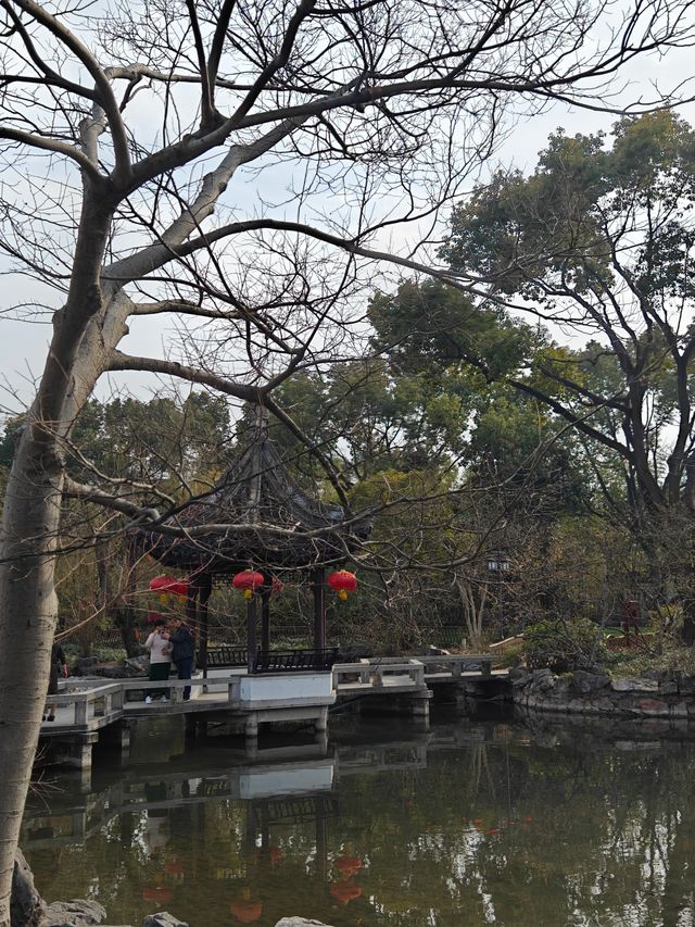 上海賞梅保姆級攻略