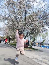 南京這個免費公園才是春日賞花天花板吧！