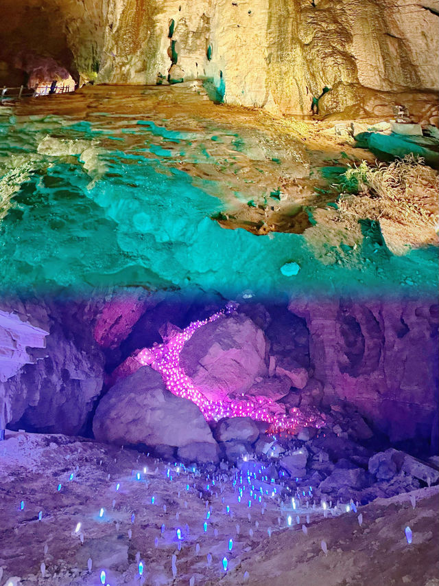 他們都讓我來這裡 他們都讓我來這裡