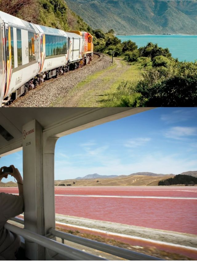新西蘭南島浪漫序幕，由人氣海岸火車開啟