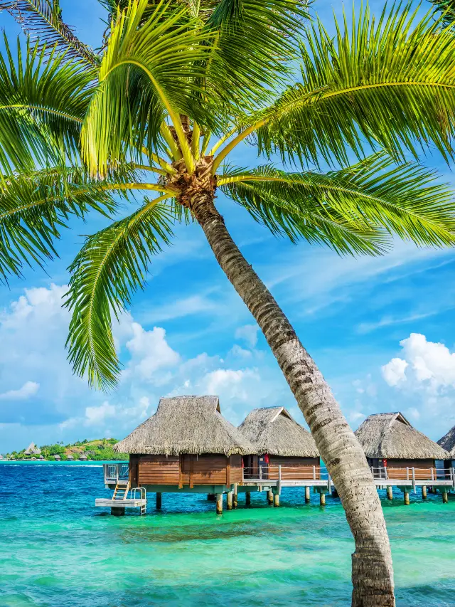 타히티 브랜드 | 극소수만 방문하는 프라이빗 리조트 섬