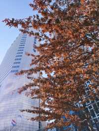 西大門紅葉之旅：秋日的浪漫與靜謐🍁🍂