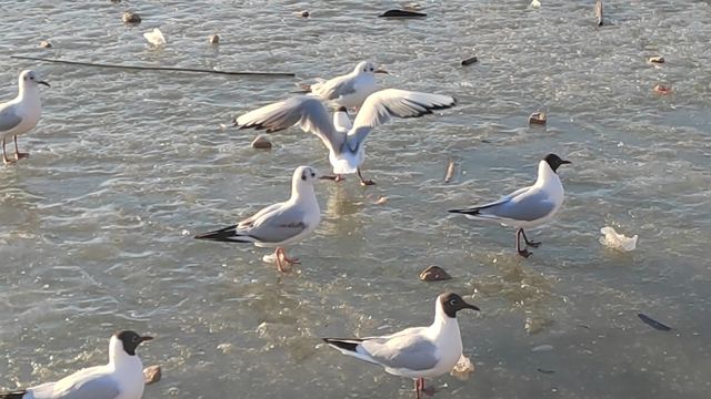 烏海溫馨之旅