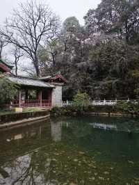 納曦雅園園林酒店｜舌尖上的旅行