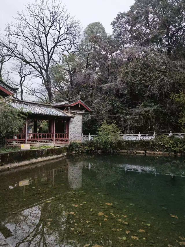 納曦雅園園林酒店｜舌尖上的旅行