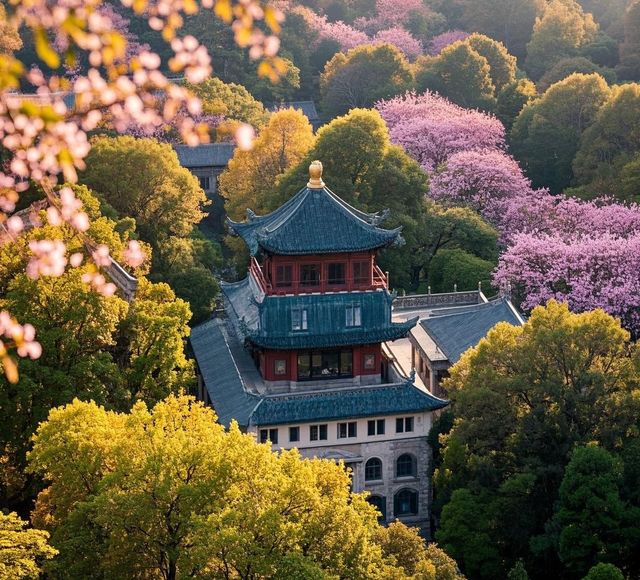 赴約鐘山，邂逅金陵浪漫春光