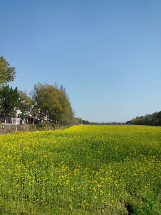 Zhuge Bagua Village in Jinhua, Zhejiang