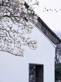 600年明朝重臣私家府邸，竟然藏在南京鬧市區