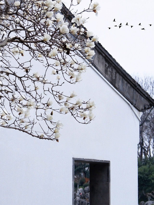 600年明朝重臣私家府邸，竟然藏在南京鬧市區