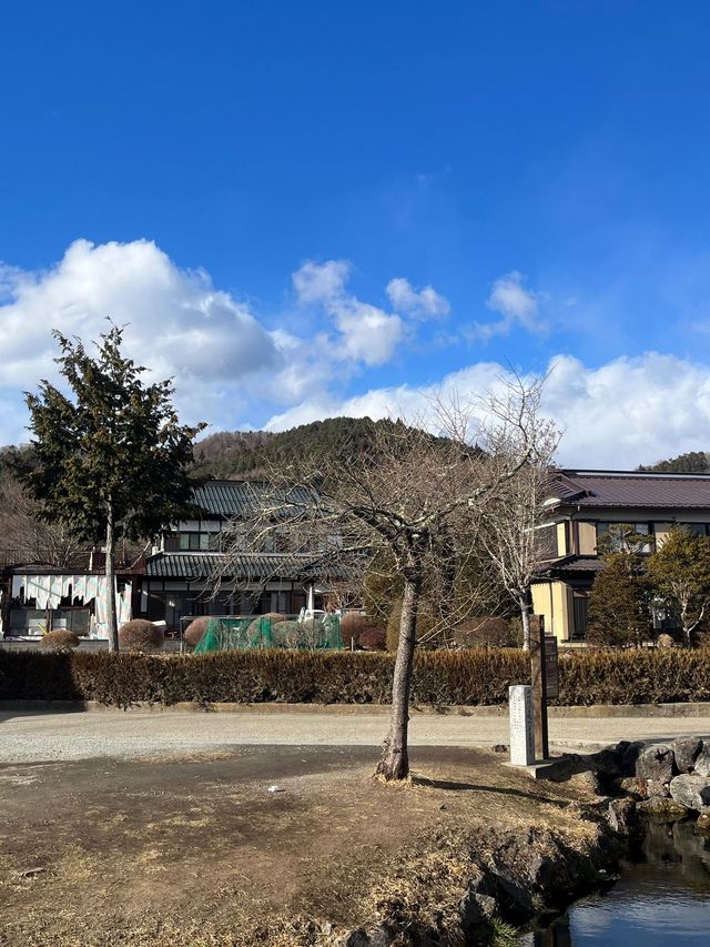 清明節 5日暢遊日本全攻略