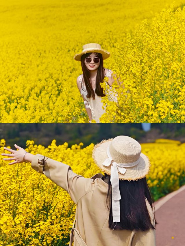 羅平賞油菜花‖打卡避坑攻略