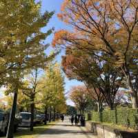 東京一日攻略：從皇居古韻到澀谷霓虹