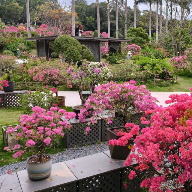 行山：深圳蓮花山公園