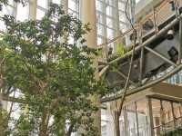 RING mall, Forest in the city