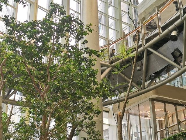 RING mall, Forest in the city
