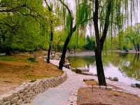 Purple Bamboo Park in Beijing: Pure Tranquility Hideout