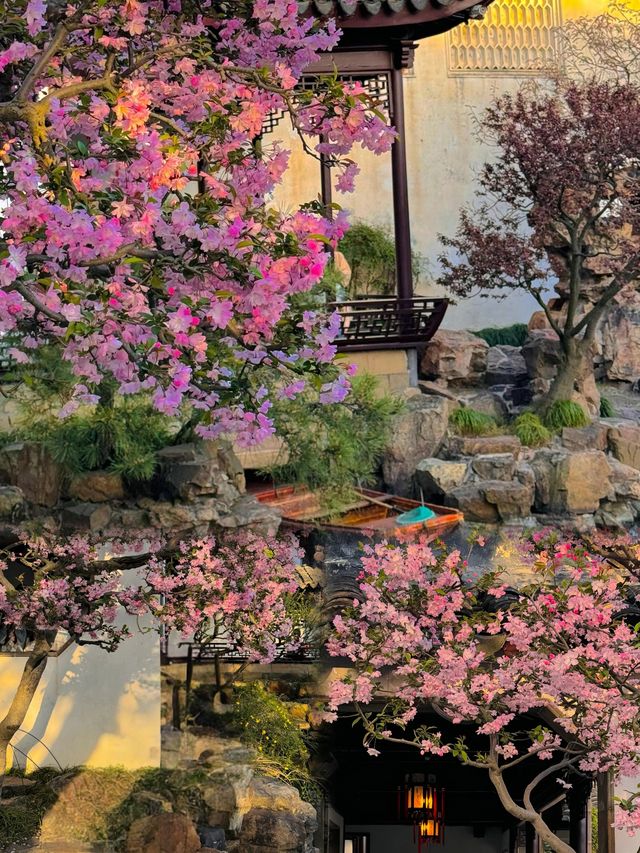 江蘇蘇州丨4-5月淡季來真的很正,人少景美 江蘇蘇州丨4-5月淡季來真的很正,人少景美