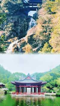 麗水一日遊最強攻略來啦