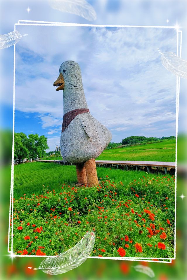 昆山計家墩理想村2天1夜遊記——江南水鄉的慢生活