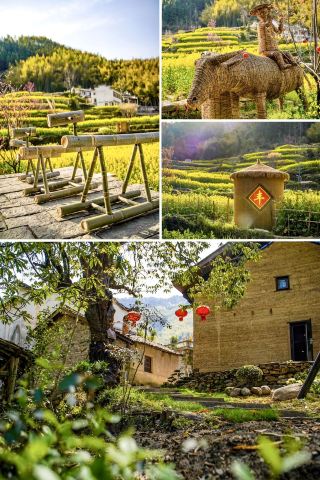 Poetic Spring in Southern Anhui | A 4-Day, 3-Night Deep Dive into Anhui's Charm