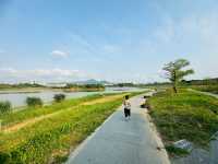 石岩湖濕地公園 | 環湖徒步騎行天花板