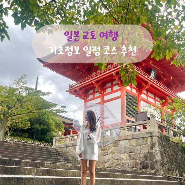일본의 옛수도인 교토 일본 전통 명소 위주 당일치기 코스🏯