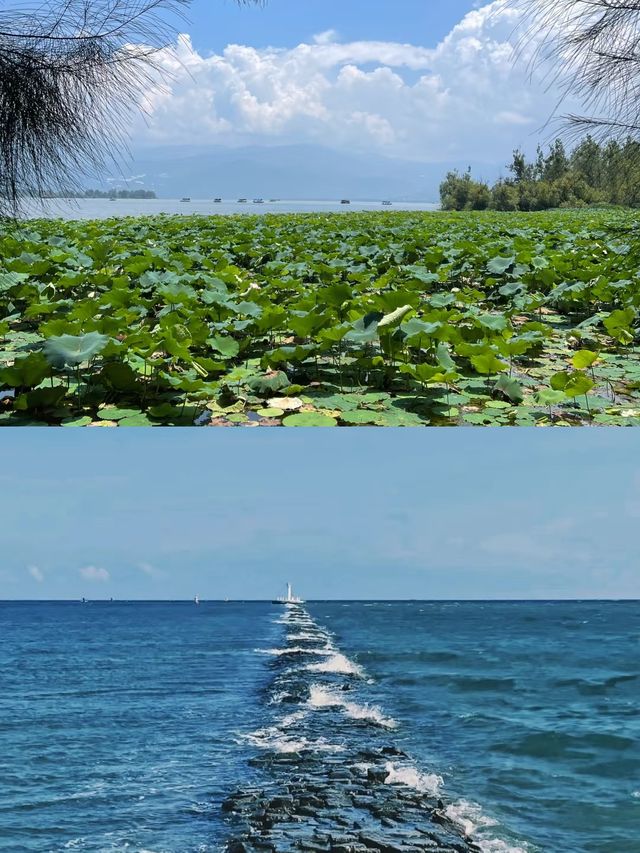 五一西昌邛海邊的小眾拍照點位