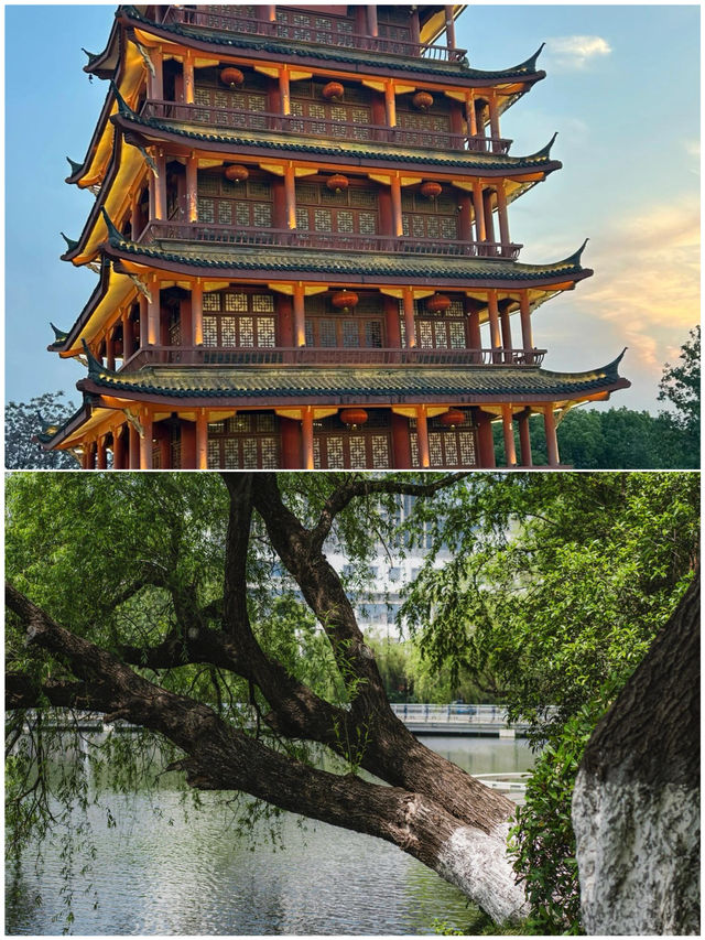 去了5次合肥，整理出來的攻略