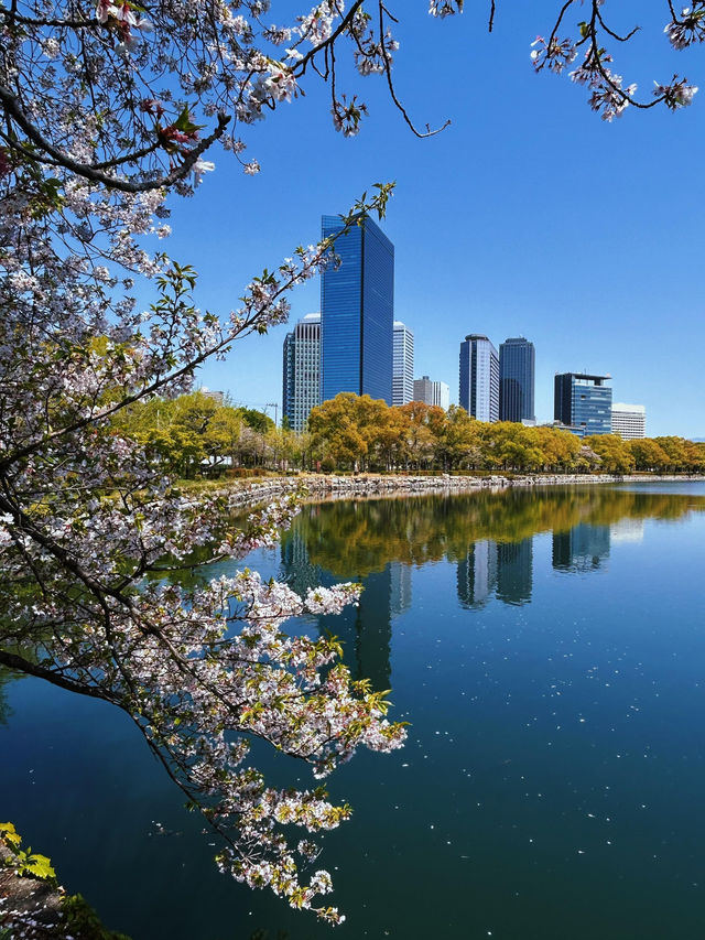 🌸四月大阪城公園，櫻花絕美之境