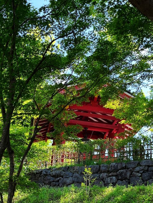 京都＆宇治雙城記，世界文化遺產之旅