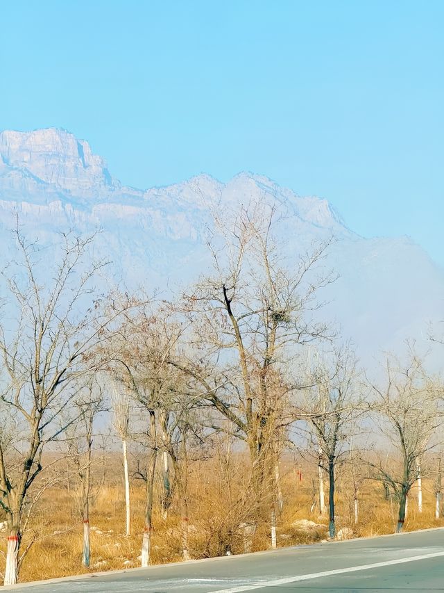 與遠古的對話，盡在賀蘭山岩畫