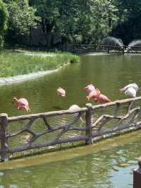 五月出遊第一站，秦嶺野生動物園嗨翻天！