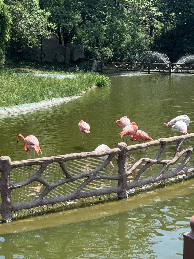 五月出遊第一站，秦嶺野生動物園嗨翻天！
