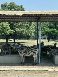 五月出遊第一站，秦嶺野生動物園嗨翻天！