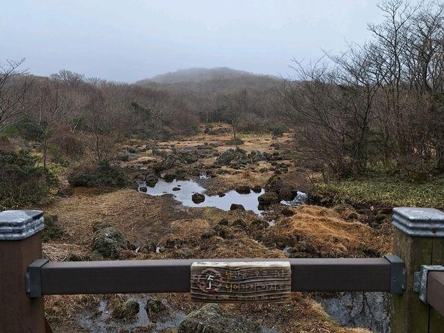 Amazing weekend getaway to Jeju Island, South Korea! 