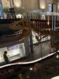 Roar-some Dinosaur Exhibits At The Natural History Museum Of Taiwan 